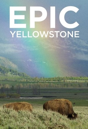 Epic Yellowstone Poster