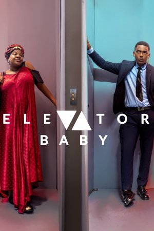 Elevator Baby Poster