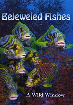 Wild Window: Bejeweled Fishes Poster