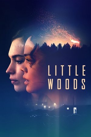 Little Woods Poster