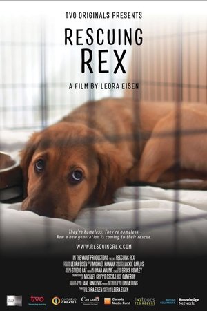 Rescuing Rex Poster