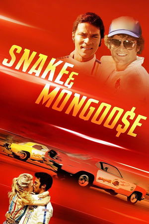 Snake & Mongoose Poster