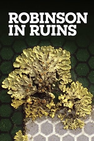 Robinson in Ruins Poster