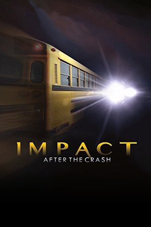 Impact After the Crash Poster