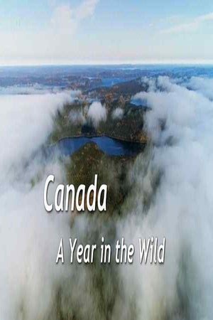 Canada: A Year in the Wild Poster