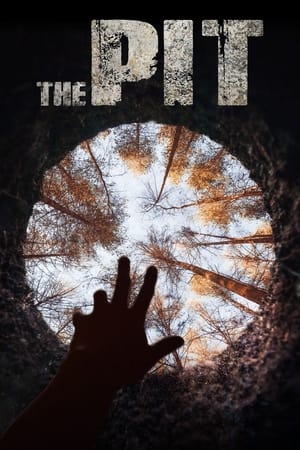 The Pit Poster