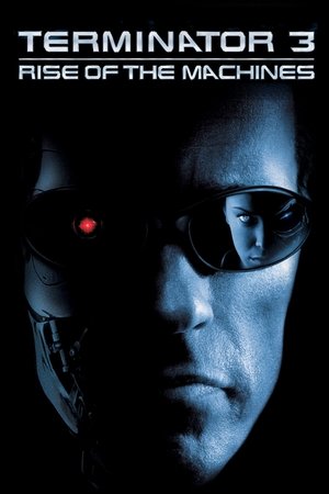 Terminator 3: Rise of the Machines Poster