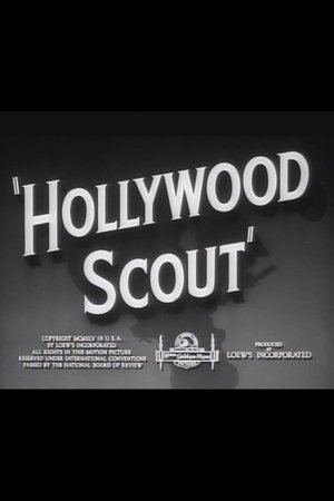 Hollywood Scout Poster