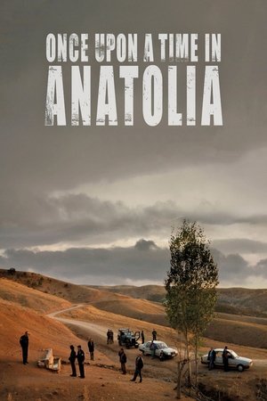 Once Upon a Time in Anatolia Poster