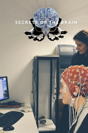 Secrets of the Brain Poster