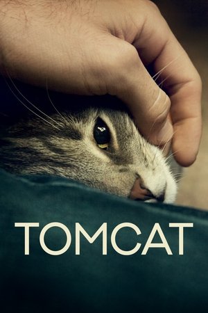 Tomcat Poster