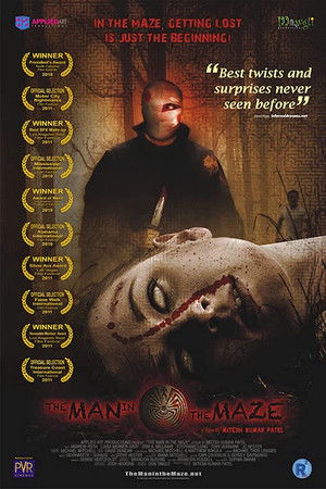 The Man in the Maze Poster