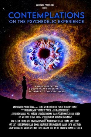 Contemplations: On the Psychedelic Experience Poster