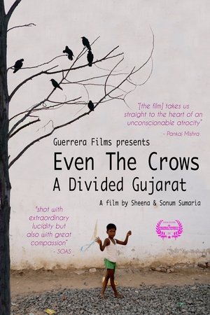 Even the Crows: A Divided Gujarat Poster