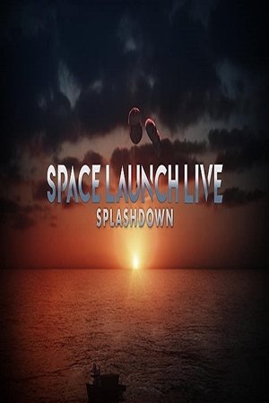Space Launch Live: Splashdown Poster