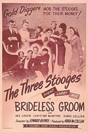 Brideless Groom Poster