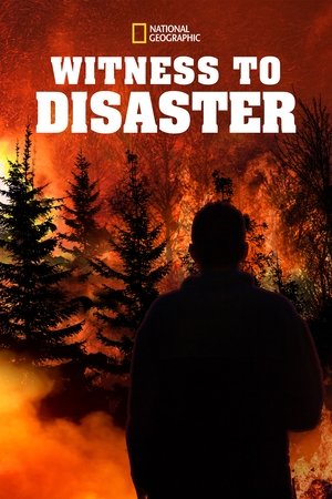 Witness to Disaster Poster
