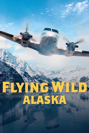 Flying Wild Alaska Poster