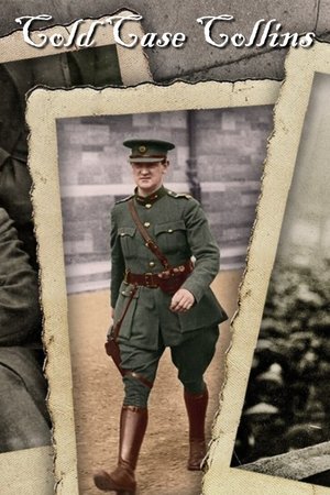 Cold Case Collins Poster