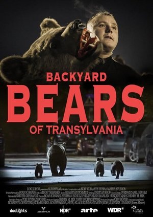 Backyard Bears of Transylvania Poster