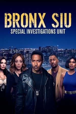 Bronx SIU Poster