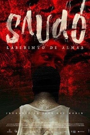 Saudo, Labyrinth of Souls Poster