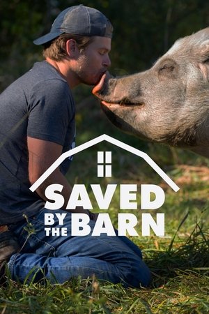 Saved By The Barn Poster