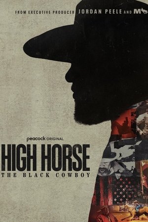High Horse: The Black Cowboy Poster