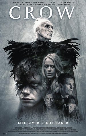 Crow Poster