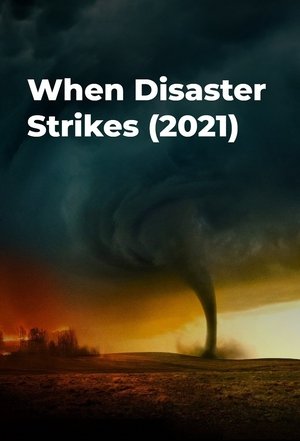 When Disaster Strikes Poster