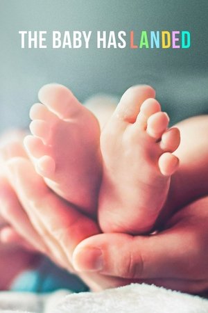 The Baby Has Landed Poster