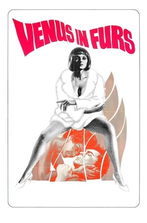 Venus in Furs Poster