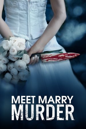 Meet Marry Murder Poster