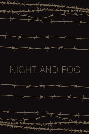 Night and Fog Poster