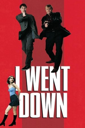 I Went Down Poster