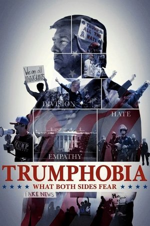Trumphobia: What Both Sides Fear Poster