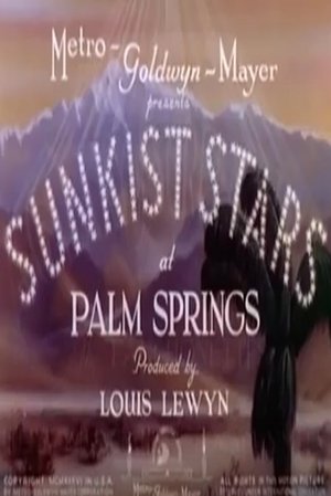 Sunkist Stars at Palm Springs Poster
