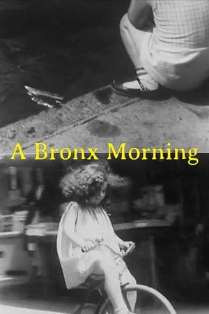 A Bronx Morning Poster