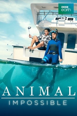 Animal Impossible Poster