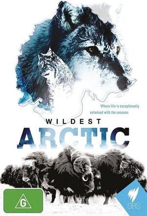 Wildest Arctic Poster