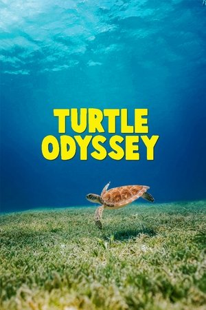 Turtle Odyssey Poster