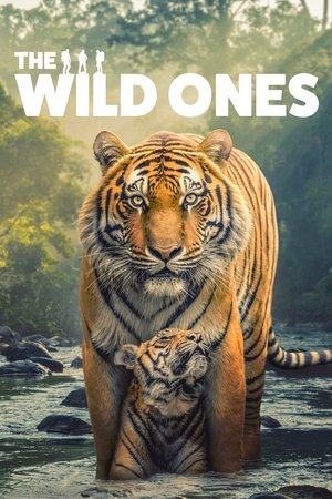 The Wild Ones Poster
