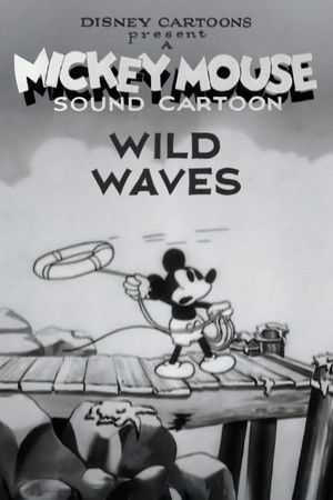 Wild Waves Poster